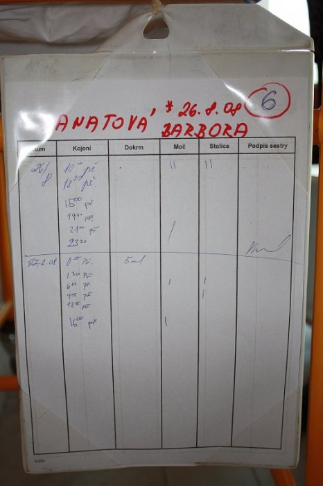 IMG_1486x.JPG
