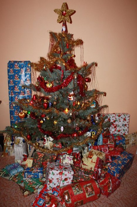 IMG_2810_orez.jpg