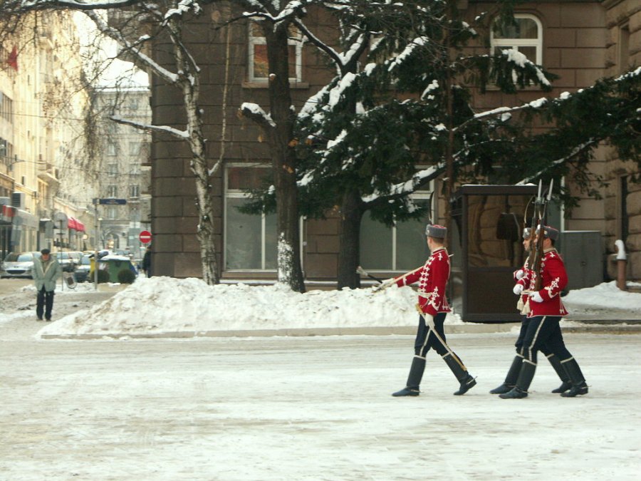 0124_PICT8867.JPG
