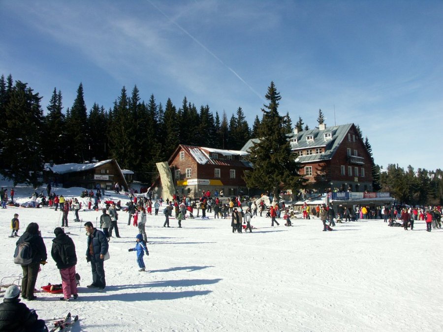 0090_PICT8949.jpg