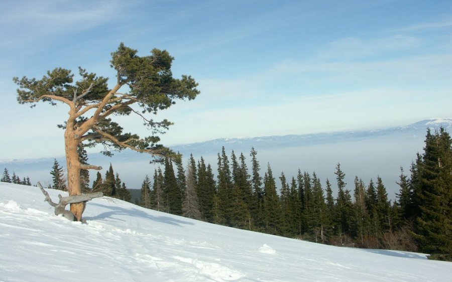 0180_PICT8978_orez.jpg