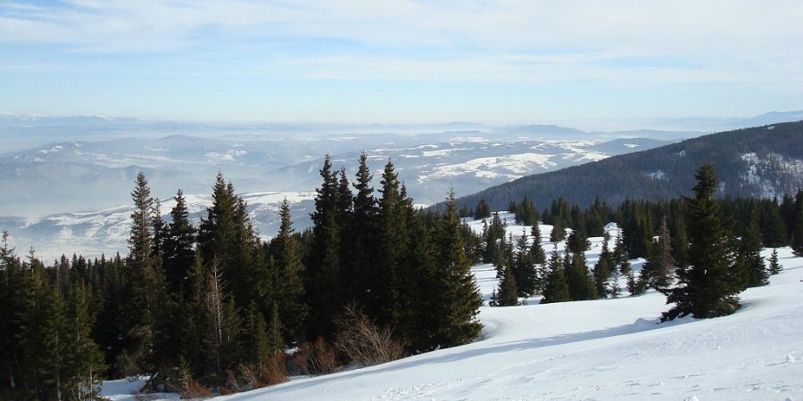 1207_DSC00145-Krop_panorama.jpg