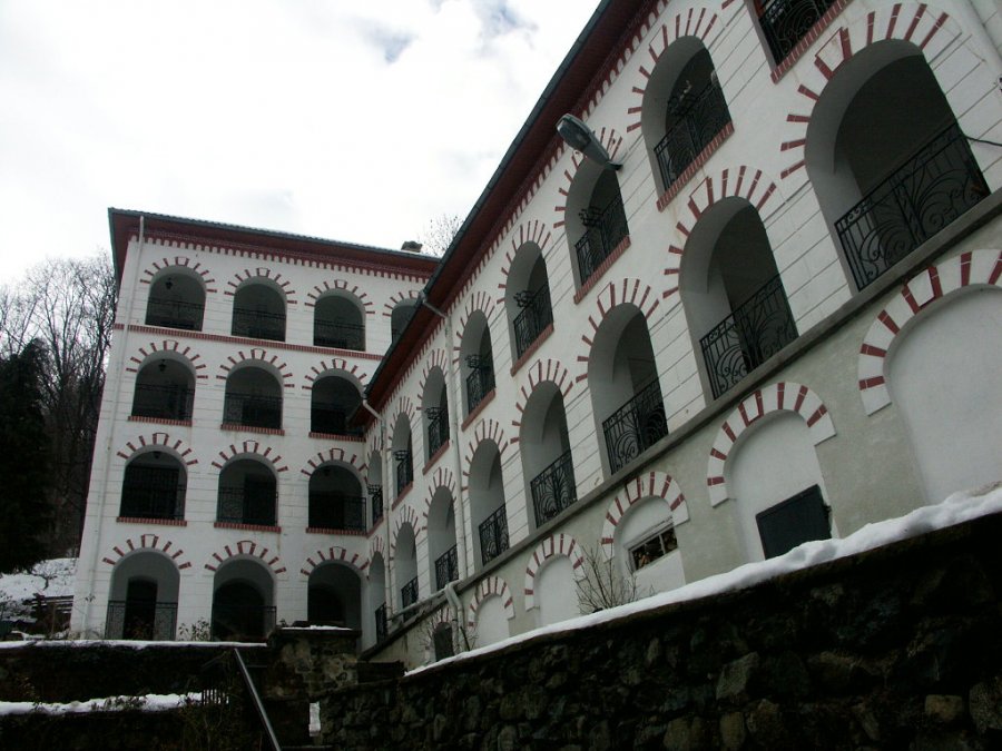 0060_PICT8988.JPG