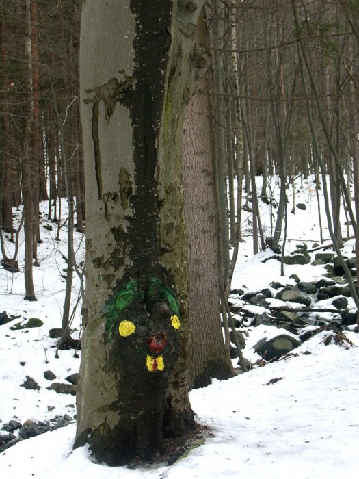 0178_PICT8985.JPG
