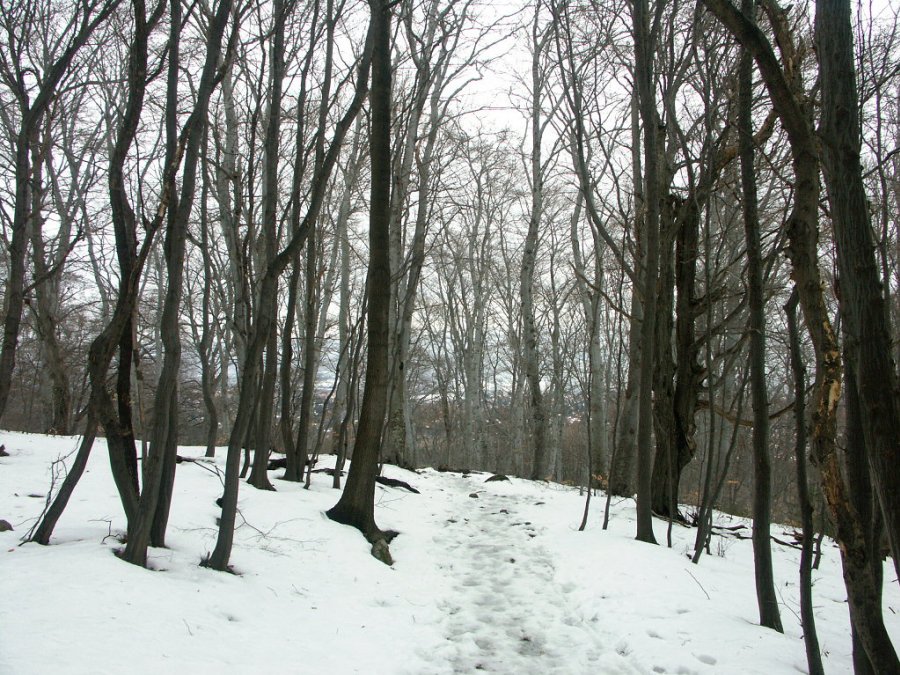 0180_PICT9006.JPG