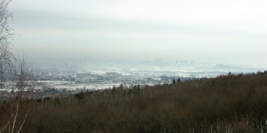 0270_PICT9037_orez.jpg