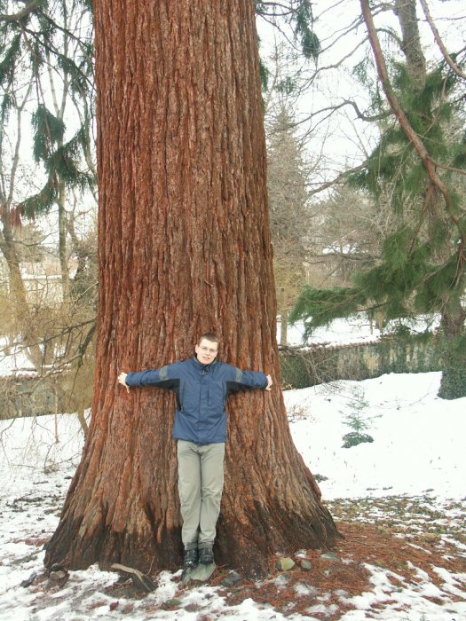 0370_PICT9055.JPG