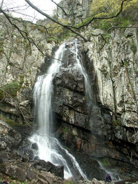 0060_PICT9286.jpg
