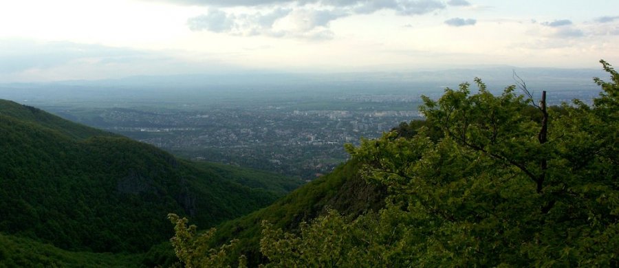 0080_PICT9296_panorama.jpg